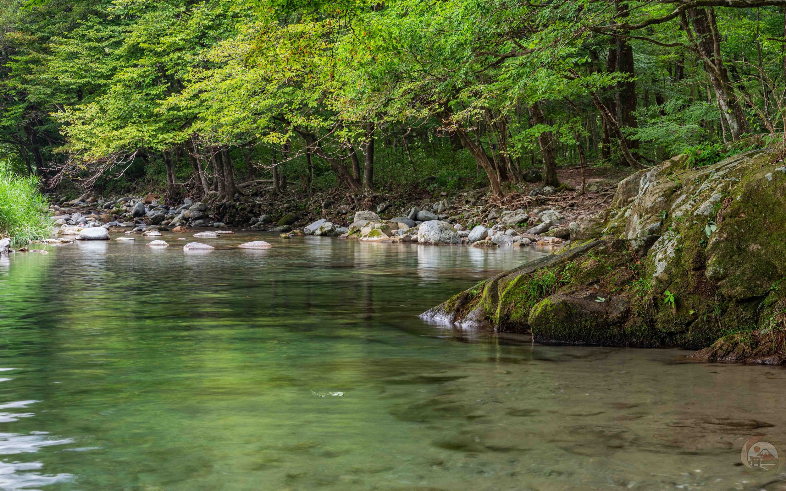 Finding Stillness in the Waters of the Kinomata River・木の俣川の